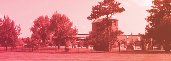 <p>The<br />village</p>